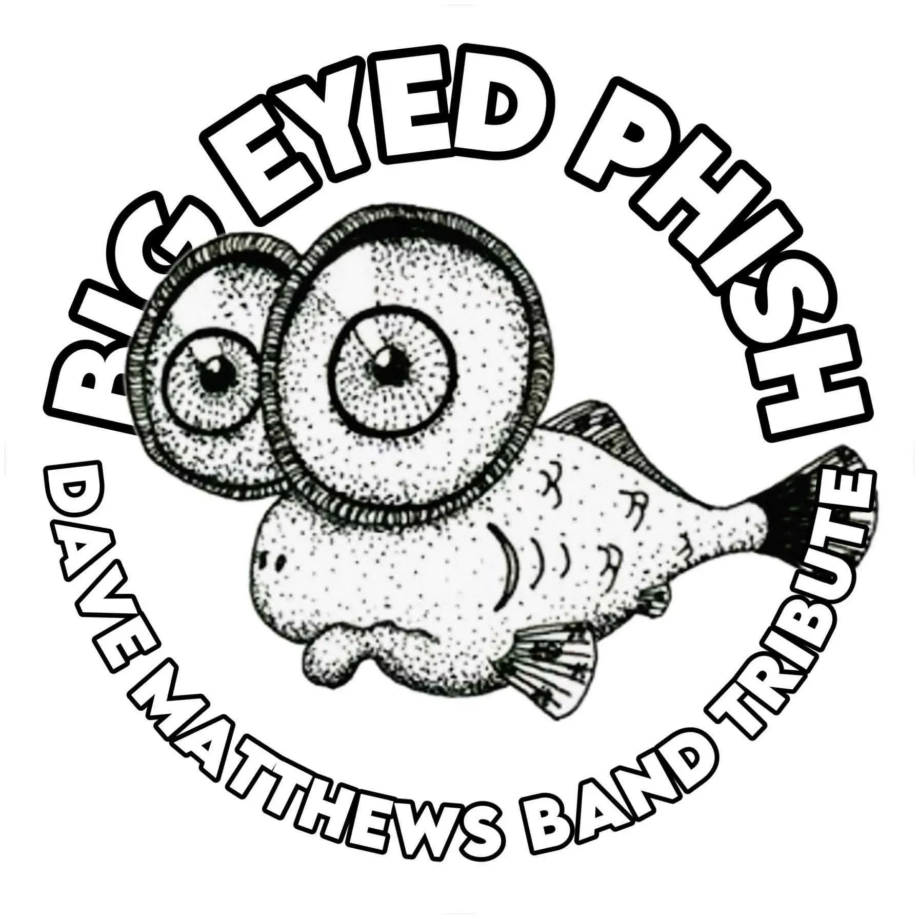 DAVE MATTHEWS TRIBUTE BAND